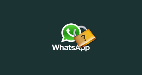 privacy whatsapp