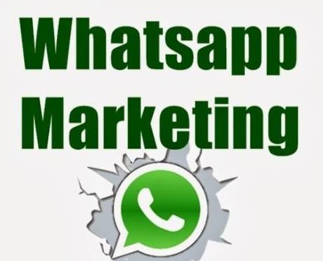 whatsapp per fare marketing