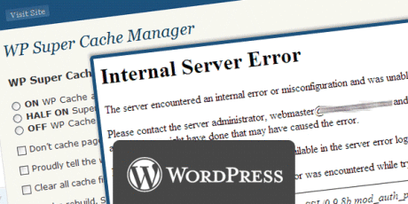 Internal_Server_Error_Wordpress_Blog