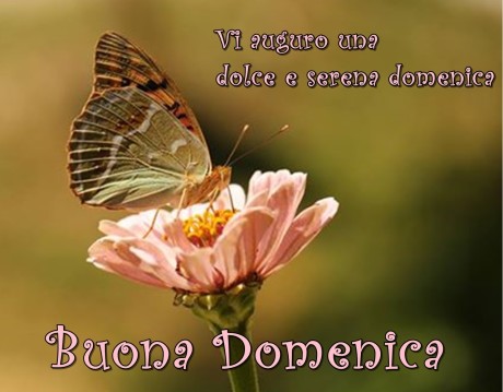 buona-domenica-foto-romantica-whatsapp