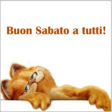 BUONGIORNO FORUM!!!!  Saluti lampo - Pagina 3 Buon-sabato-gatto-WhatsApp-380x380